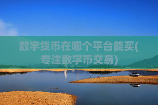数字货币在哪个平台能买(专注数字币交易)