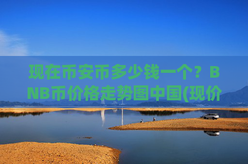 现在币安币多少钱一个？BNB币价格走势图中国(现价5245.17元)