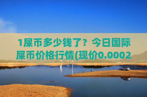1屎币多少钱了？今日国际屎币价格行情(现价0.00023028元)