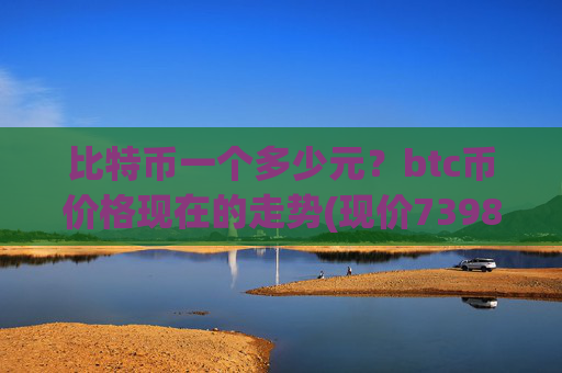 比特币一个多少元？btc币价格现在的走势(现价739832.97元)