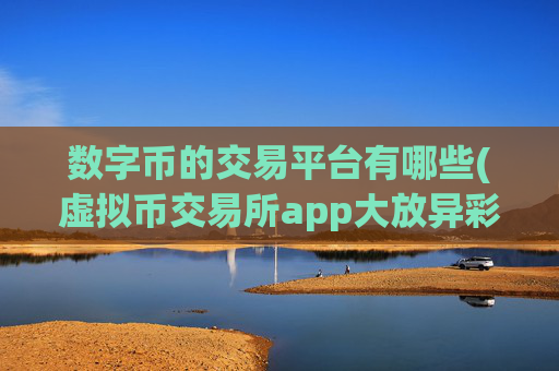数字币的交易平台有哪些(虚拟币交易所app大放异彩)