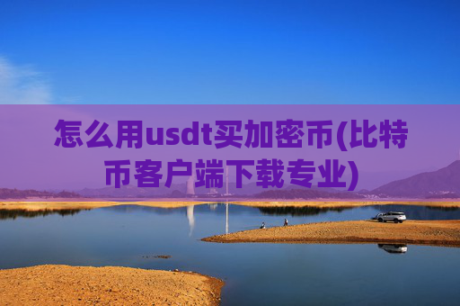怎么用usdt买加密币(比特币客户端下载专业)