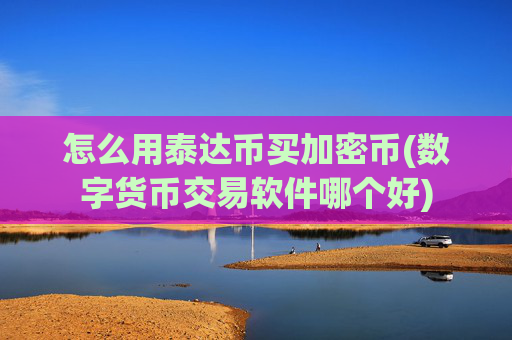 怎么用泰达币买加密币(数字货币交易软件哪个好)