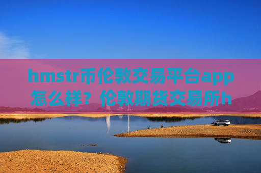 hmstr币伦敦交易平台app怎么样？伦敦期货交易所hmstr币