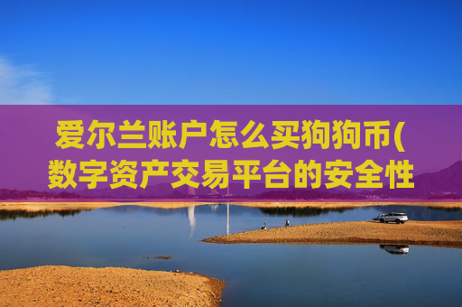 爱尔兰账户怎么买狗狗币(数字资产交易平台的安全性)