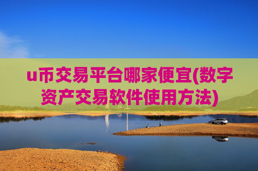 u币交易平台哪家便宜(数字资产交易软件使用方法)