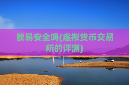 欧易安全吗(虚拟货币交易所的评测)
