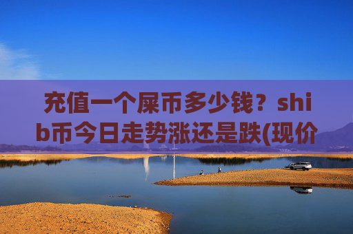 充值一个屎币多少钱？shib币今日走势涨还是跌(现价0.00015814元)