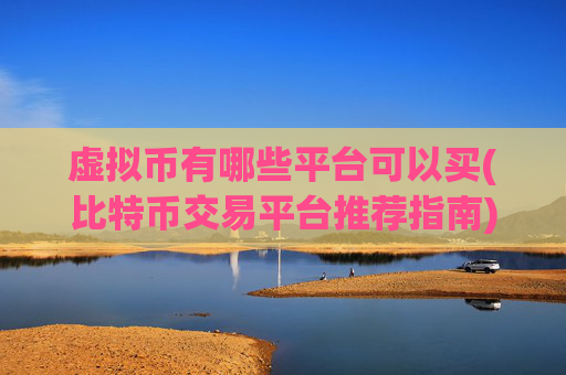 虚拟币有哪些平台可以买(比特币交易平台推荐指南)