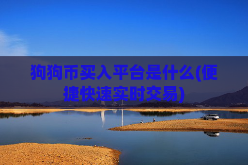 狗狗币买入平台是什么(便捷快速实时交易)