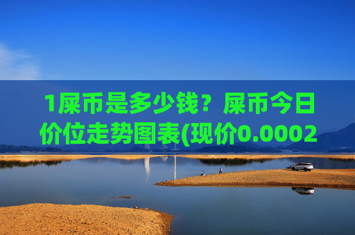 1屎币是多少钱？屎币今日价位走势图表(现价0.00022773元)