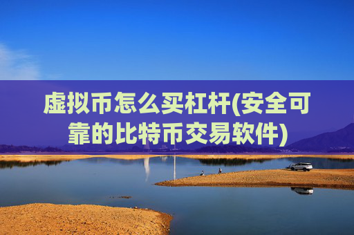 虚拟币怎么买杠杆(安全可靠的比特币交易软件)