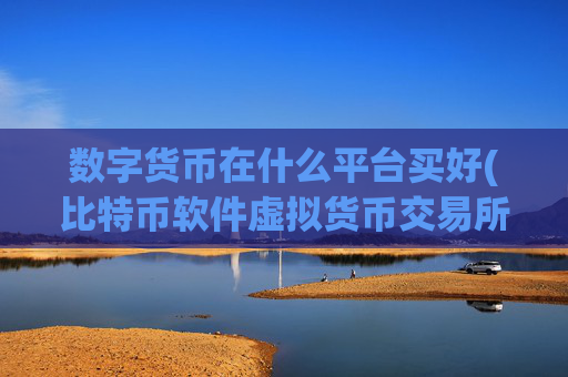 数字货币在什么平台买好(比特币软件虚拟货币交易所)