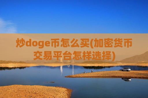 炒doge币怎么买(加密货币交易平台怎样选择)