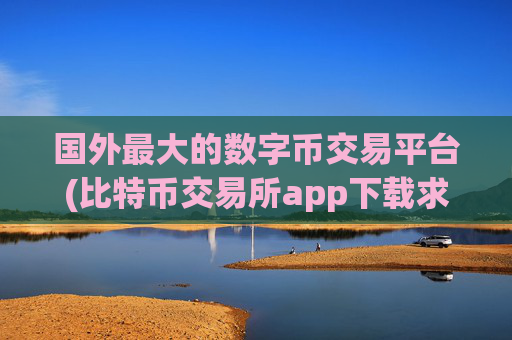 国外最大的数字币交易平台(比特币交易所app下载求推荐)