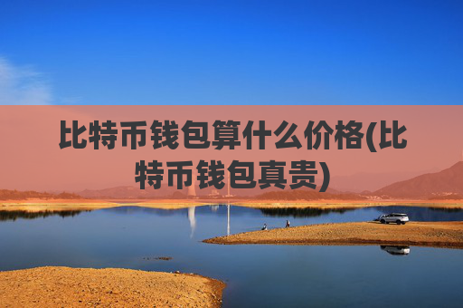 比特币钱包算什么价格(比特币钱包真贵)