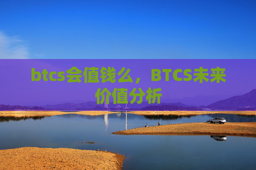 btcs会值钱么，BTCS未来价值分析