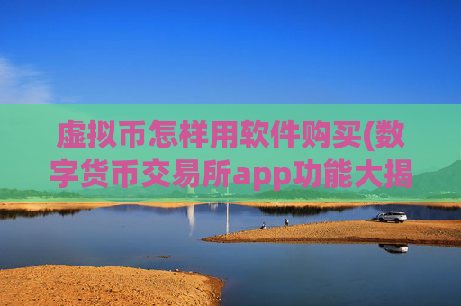 虚拟币怎样用软件购买(数字货币交易所app功能大揭秘)