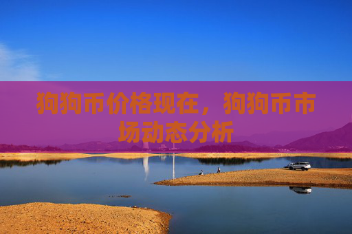 狗狗币价格现在，狗狗币市场动态分析