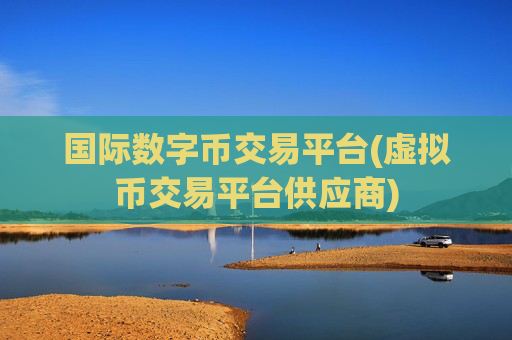 国际数字币交易平台(虚拟币交易平台供应商)