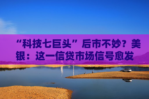 “科技七巨头”后市不妙？美银：这一信贷市场信号愈发难以忽视！