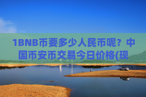 1BNB币要多少人民币呢？中国币安币交易今日价格(现价4793.37元)