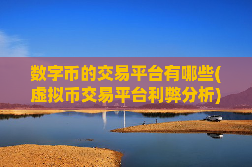 数字币的交易平台有哪些(虚拟币交易平台利弊分析)