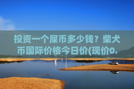 投资一个屎币多少钱？柴犬币国际价格今日价(现价0.00015763元)