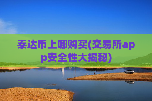 泰达币上哪购买(交易所app安全性大揭秘)