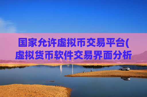 国家允许虚拟币交易平台(虚拟货币软件交易界面分析)