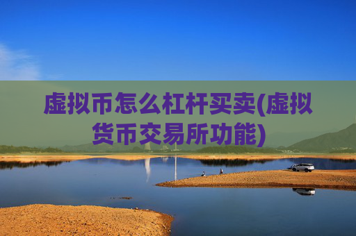 虚拟币怎么杠杆买卖(虚拟货币交易所功能)