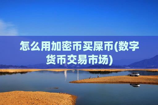 怎么用加密币买屎币(数字货币交易市场)