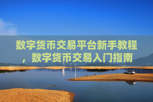 数字货币交易平台新手教程，数字货币交易入门指南