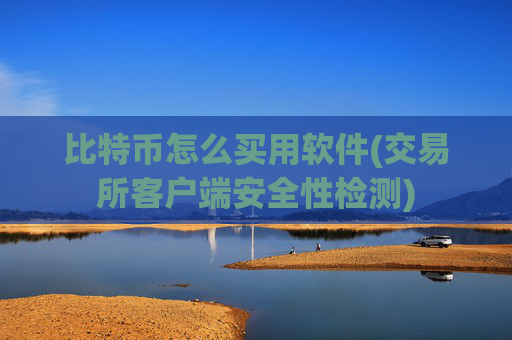 比特币怎么买用软件(交易所客户端安全性检测)