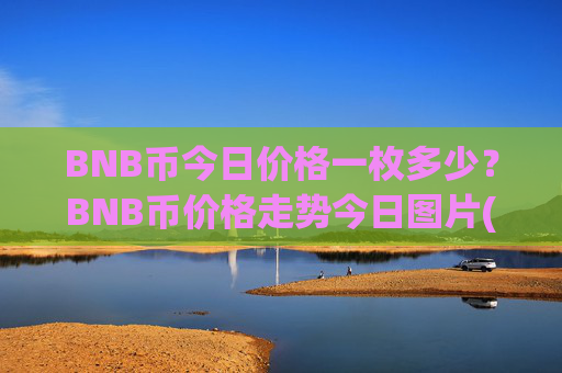 BNB币今日价格一枚多少？BNB币价格走势今日图片(现价5293.07元)