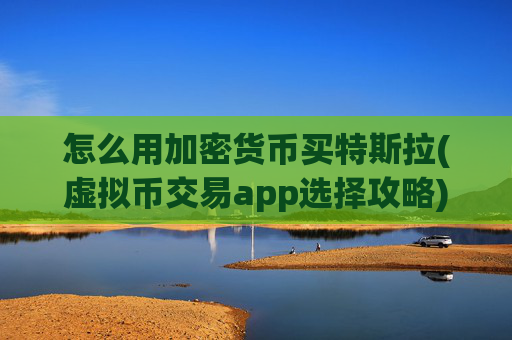 怎么用加密货币买特斯拉(虚拟币交易app选择攻略)
