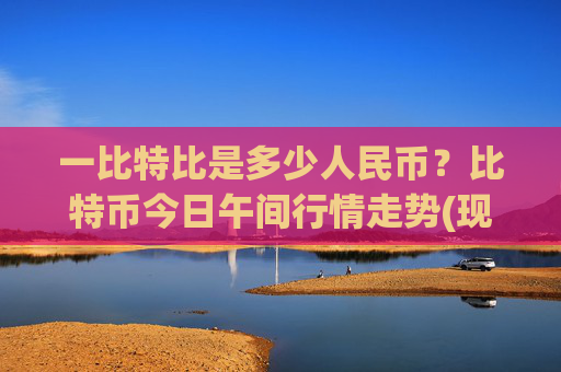 一比特比是多少人民币？比特币今日午间行情走势(现价741110.8元)
