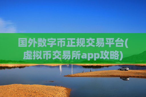 国外数字币正规交易平台(虚拟币交易所app攻略)