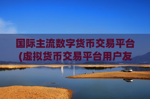 国际主流数字货币交易平台(虚拟货币交易平台用户友好)