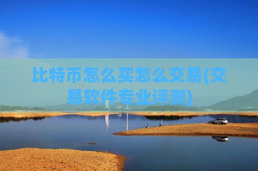 比特币怎么买怎么交易(交易软件专业评测)