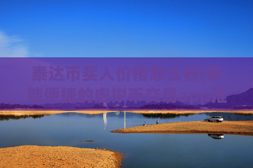 泰达币买入价格怎么看(智能便捷的虚拟币交易app推荐)