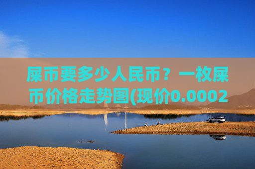 屎币要多少人民币？一枚屎币价格走势图(现价0.00022738元)