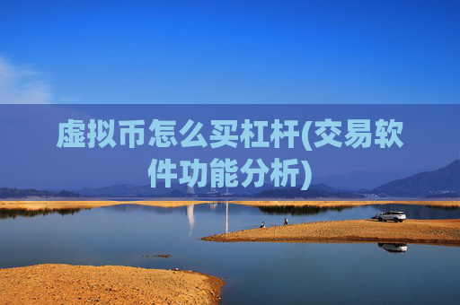 虚拟币怎么买杠杆(交易软件功能分析)