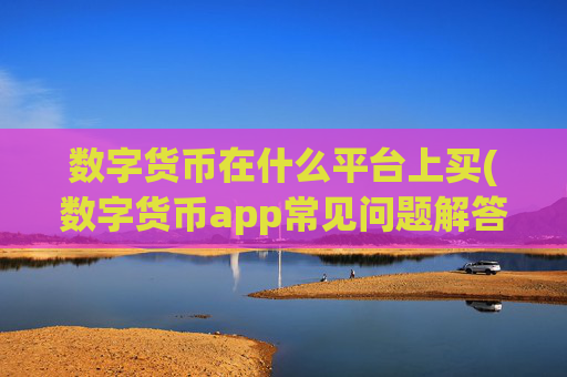 数字货币在什么平台上买(数字货币app常见问题解答)