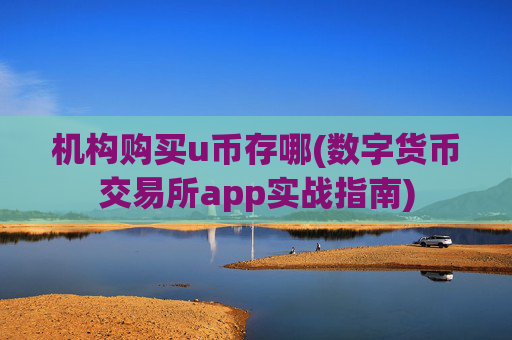 机构购买u币存哪(数字货币交易所app实战指南)
