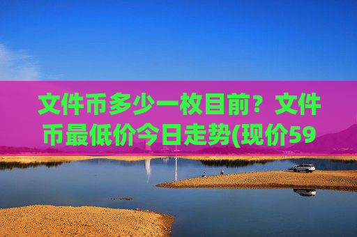 文件币多少一枚目前？文件币最低价今日走势(现价59.3335元)