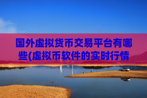 国外虚拟货币交易平台有哪些(虚拟币软件的实时行情监控)