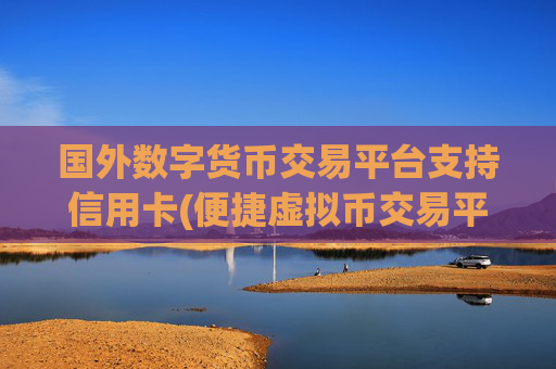 国外数字货币交易平台支持信用卡(便捷虚拟币交易平台选择)