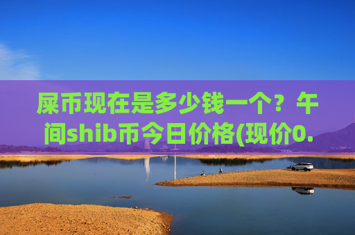 屎币现在是多少钱一个？午间shib币今日价格(现价0.00022872元)