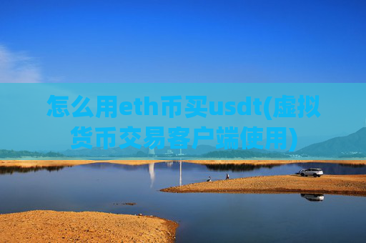 怎么用eth币买usdt(虚拟货币交易客户端使用)